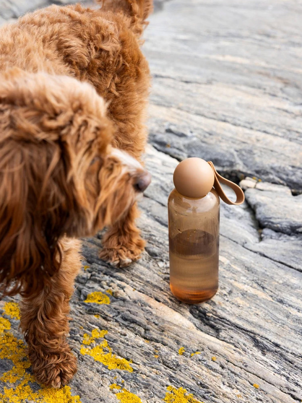 ture water bottle - sagaforms brown